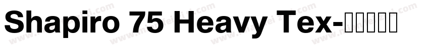 Shapiro 75 Heavy Tex字体转换
